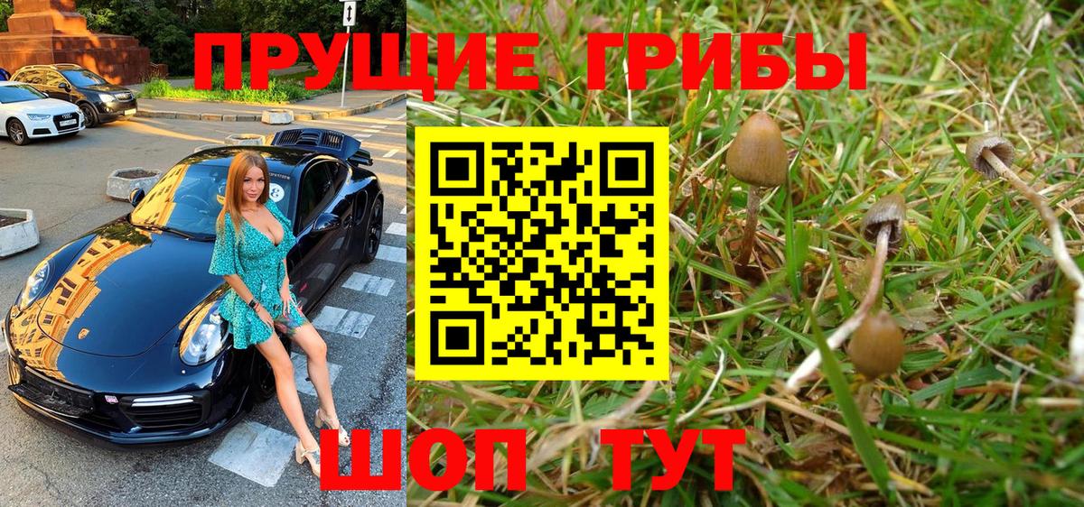 Псилоцибиновые грибы Psilocybine cubensis Арсеньев