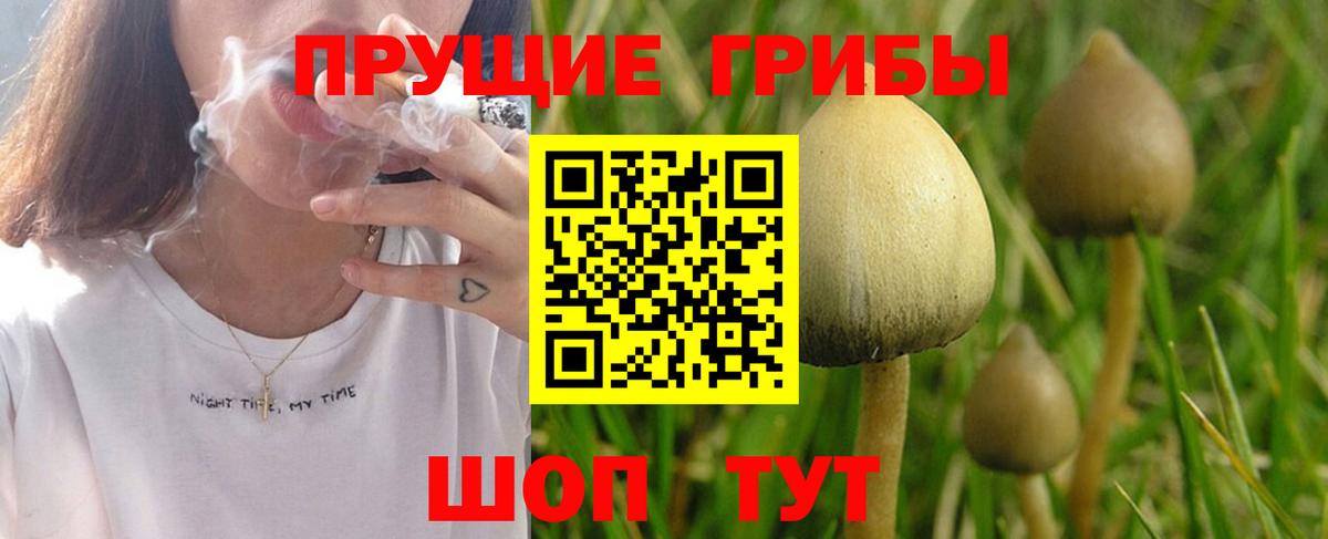 Галлюциногенные грибы прущие грибы  Вход с VPN  Арсеньев 